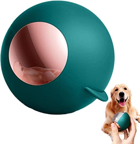 Tragbarer Fusselroller Fusselentferner Ball Tragbarer Mini Reise Flusenroller Reisen Klebriger Gel Travel Lint Roller Mini Linser Rollers für Kleidung Möbel (Grün)