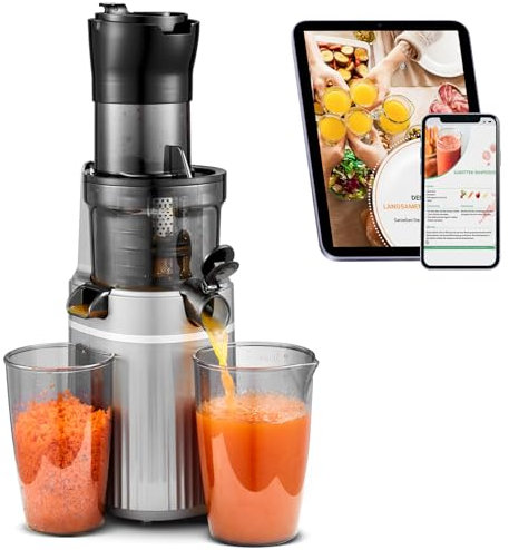 Extracteur de jus de fruits et légumes AOBOSI pour fruits et légumes entiers. Extracteur de jus lent sans BPA. Presse-agrumes avec une ouverture de 80 MM. Fonction inverse, moteur silencieux, Gris.