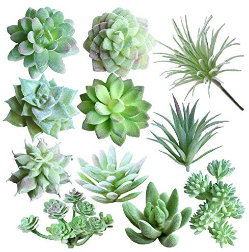 11 Stück künstliche Sukkulenten, Künstliche Beflockte Pflanzen Kunststoff Sukkulente Ungetopfte, Künstliche saftige Beflockung pflanzte für Zuhause Indoor Fairy Garden Dekorationen