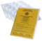 5X Impfpass Hülle Etui 200mm x 137mm faltbar für neuen Impfpass Schutzhülle Impfausweis ab 2015 Ausweishülle Impfbuch Reisepasshülle Schutzhülle Alter Reisepass bis 2017 (5 Stück Transparent)