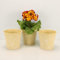 OF 3 Blumentöpfe aus Metall mit Blumenmuster im Set - Blumentopf Kräutertopf – 14 cm groß (Gelb P50)