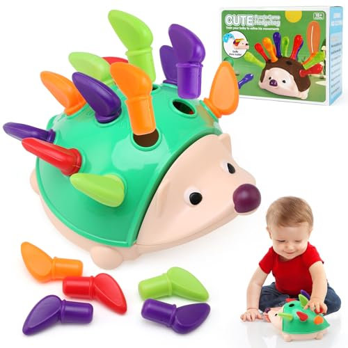 Montessori Spielzeug ab 1 Jahr, Steckspiel ab 1 Jahr, Baby Spielzeug Igel Motorikspielzeug Kinderspielzeug Sortierspiel Lernspielzeug Kleinkind Geschenk für Jungen und Mädchen ab 1 2 3 4 Jahre