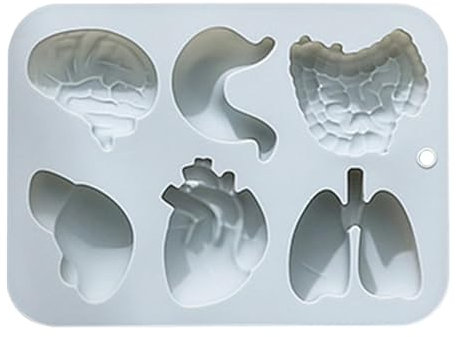 Fizepgo Moldes para órganos del cuerpo, molde de silicona para órganos | moldes de gelatina de silicona en forma de órganos humanos, 6 cavidades simulación de órganos humanos, fondant, chocolate,