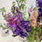 levkojen samen mehrjährig, wildblumensamen mehrjährig winterhart,stauden winterhart mehrjährig blumenstauden winterhart,schnellwachsende kletterpflanzen blumensamen 250pcs