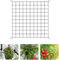 Filet de Tente de Culture 100 X 100 cm, Filet Palissage,Filet à Plantes grimpantes, Filet de Treillis,Filet élastique pour Plantesavec 4 Crochets, pour Plantes,légumes,Fruits,Fleurs