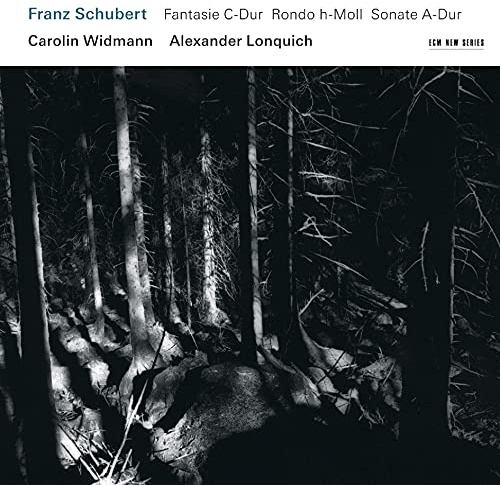 Franz Schubert: Fantasie D-Dur, Rondo h-Moll, Sonate A-Dur