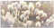 ARTland Wanddeko Glasbilder Wandbild Glas Bild einteilig 60 x 30 cm Natur Zauber Idyll Frühling Moor Pflanzen Gräser Blumen Wollgras T2BZ