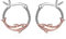 Delphin Creolen Ohrringe für Damen Delphin Ohrringe Silber 925 Delphin Creolen Rosegold Delphin Schmuck Geschenk für Frauen Mädchen