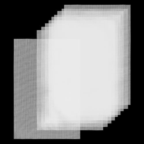 NQEUEPN 10st Bonsai Netz Gitter, 30x20cm, Blumentopf Loch Netz Polyethylen Quadratisch Flower Pot Mesh Pflanzensieb Netz Matte für Topfpflanzen im Garten und Im Freien (Weiß)