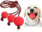 Xrten 3 Stück Hundespielzeug Ball, Hunde - Kauspielzeug aus Naturgummi, Wurfball Hundespiel-Ball mit Schnur Bälle Spielzeug für Hunde
