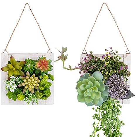 C&Z Plantas artificiales decorativas para colgar en la pared para decoración del hogar, plantas de suculentas de interior, plantas de imitación para sala de estar, guardería (juego de 2)