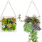 C&Z Plantas artificiales decorativas para colgar en la pared para decoración del hogar, plantas de suculentas de interior, plantas de imitación para sala de estar, guardería (juego de 2)