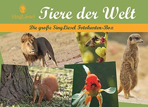 Tiere der Welt - Die SingLiesel Fotokarten-Box: Die große SingLiesel Fotokarten-Box: Die große SingLiesel-Fotokarten-Box Tiere aus aller Welt