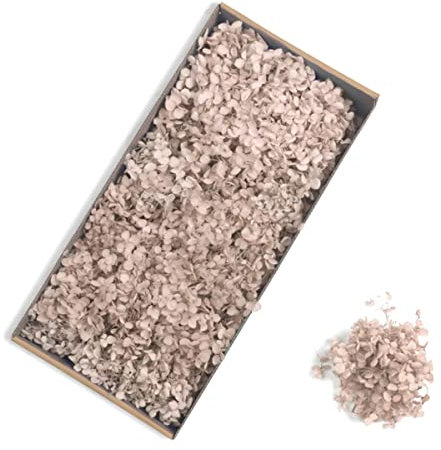BHADANI 90–100 g natürliche unsterbliche Hortensie getrocknete Blume DIY handgemachter Blumenstrauß Blumenmaterial unsterbliche Blume Hochzeitsdekoration-Braun