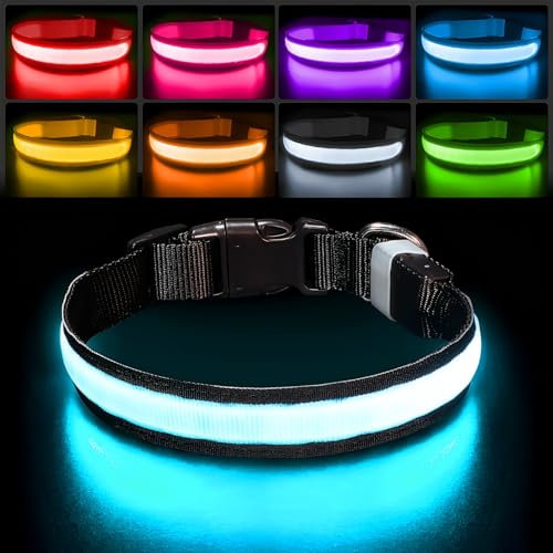 PcEoTllar Leuchthalsband Hund, Leuchtendes Hundehalsband Aufladbar 7 Farben mit 9 Leuchtmodi, LED Halsband für Hunde Wasserdicht, Leuchthalsband für Kleine Mittlere Große Hunde, Schwarz-M