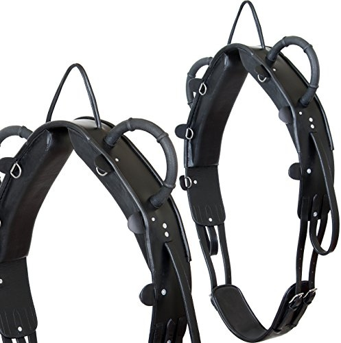 Heinick-Reitsport Qualitäts Voltigiergurt ~ ProLine Schwarz ~ Warmblut/Vollblut