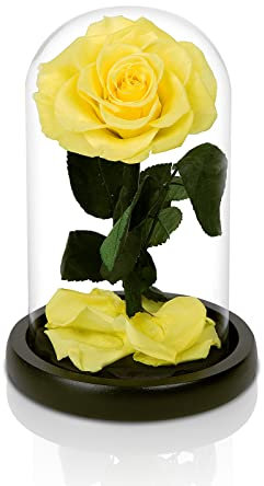 NATROSES Handmade Preserved Roses in Glass Dome, Yellow Roses, Preserved Flowers Gifts for Women, Mothers Day Flowers