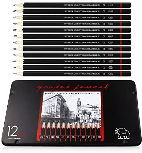 REBECASKYENS Bleistift Set 12 Stück Schreiben Bleistifte, 8B 7B 6B 5B 4B 3B 2B B HB F H 2H