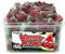 Capico Wassermelone gezuckertes Fruchtgummi (1000g) in Dose, Halal