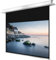 celexon motorizada Cine en casa -y Business-proyector-Pantalla con Superficie difusa empotrable Motor Professional Plus hasta 4K - 220 x 124 cm - 16:9