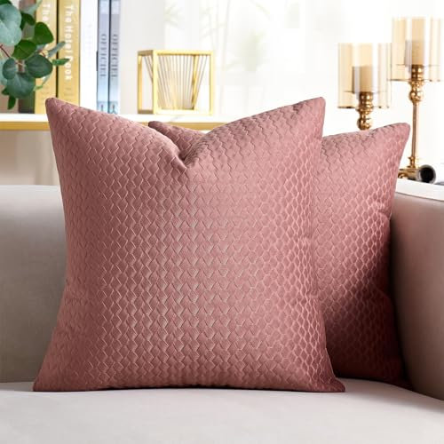Housse Coussin 45x45 Velours Lot de 2 Taie d'oreiller Carré pour Coussins Canapé/Lit Rose Printemps Été Tissu Doux Luxueux Moderne pour Voiture Maison Balcon Patio avec Fermeture éclair Invisible