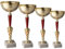Hole Gadget | Set 4 Premiazioni Personalizzate Coppa Trofeo con Targhetta Inclusa Trofei e Coppe Varie Misure per Sporto, Calcio, Basket, Volley, Eventi Sportivi, Fantacalcio (11.159G)