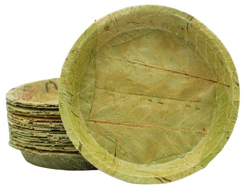 TAPARI Jumbo Disposable Plates - 20 Pack Jumbo Leaf Plates - 27cm Diameter - 1.1 Litre - 100% Compostable & Biodegradable Disposable Plates - Perfect for Eco Conscious Parties and Sustainable Cooking