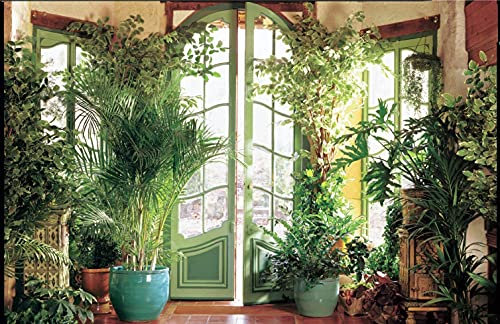 Papier Peint Photo INTISSÉ-CONSERVATOIRE-450x280 cm-(300AE)-Nature Arbres Forêt Jungle Palmiers Fleurs Colle Inclus Mural Décor Motif Poster Géant Stickers Muraux Optique Moderne Fond Effet