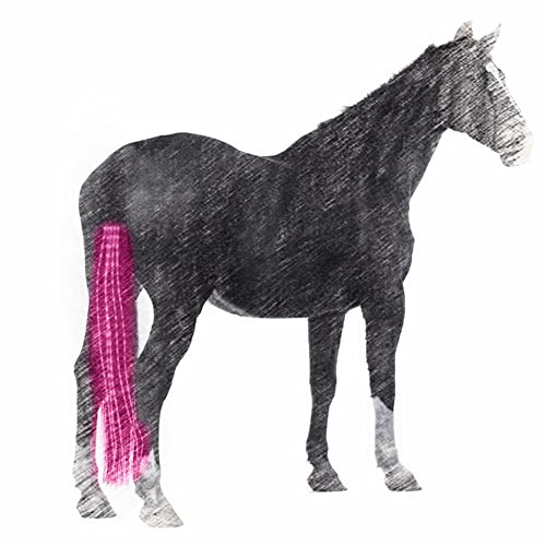 ZANGAO 100cm USB gebührenpflichtiger Pferdeendstück LED-Leuchten Reiten Tails Dekoration Leuchtröhren Pferde Reiten Reiter Sattel Halfter (100cm Blue)