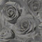 Madison Glitter Black Wallpaper - Gold Floral Rose Flower - Textured Modern Contemporary Feature Wall
