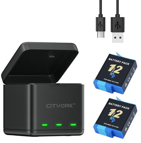 CITYORK Lot de 2 chargeurs de batterie pour GoPro Hero 12 Hero 11/10/9 noir avec câble USB et emplacements de type C à trois canaux avec affichage LED (1 chargeur + 2 batteries)