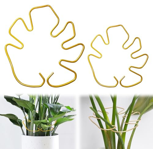 Monstera Lot de 2 supports de plantes grimpantes réglables pour monstera, lierre et autres plantes grimpantes - Tuteur en métal pour plantes d'intérieur (2 dorés)