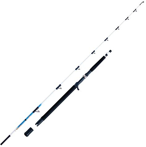 WFT Bootsrute Norwegenrute Meeresrute - Sen Sea 15lbs 2,10m 30-200g
