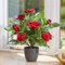 Garden Mile 40cm Artificial Rose Plant Red Fake Flowers in Pot Realistic Potted Red Roses Plant Faux Indoor Home Office Decoration Outdoor Rose Bush in Pot