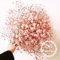 Getopfte Blumensamen Baby 's Breath, Rosa Gladiolen Samen, Rosa Baby 'breath, über 100 Partikel