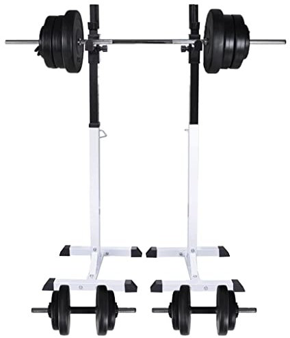 WIFESE 50x48x165 cm Kniebeugen/Langhantelständer mit Hantel-Set Gewichte Hantel Kraftstation SportgeräTe Zuhause Hantelbank mit Gewichten Hantelbank Klappbar Bankdrücken Hantelscheiben 60,5 kg