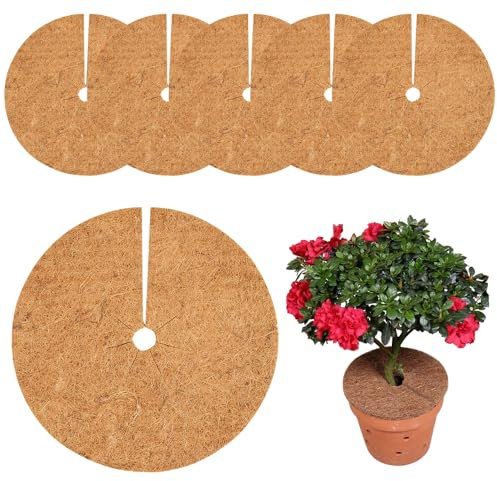 ADDLIVE Kokosmatte, Kokos Pflanzenschutz, Kokos Mulchscheibe, 6 Stück 30cm Kokosscheibe Für Pflanzen, Kokosscheibe Pflanzen Schutzmatte Nachhaltig Pflanzenschutz Frostschutz Kälteschutz Schutz