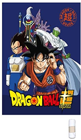 HM'S HOME'SECRET Dragon Ball Fleecedecke 100 x 140 cm, dB-2309-B