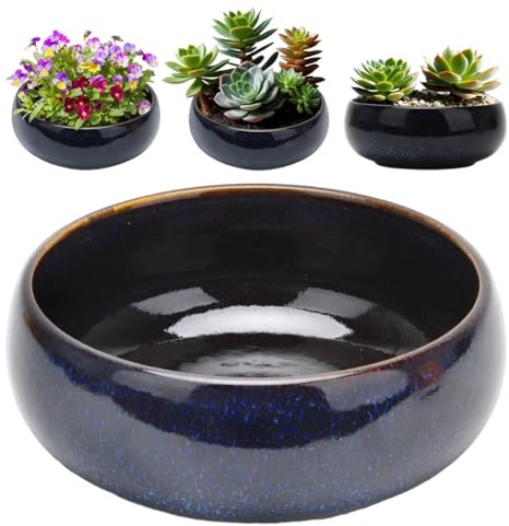 Hydroponischer Pflanztopf Aus Keramik, Glas Lotusblumenschale, Bonsaischale Lotusblume, Klarem Design, für Blume, Innen/Außen