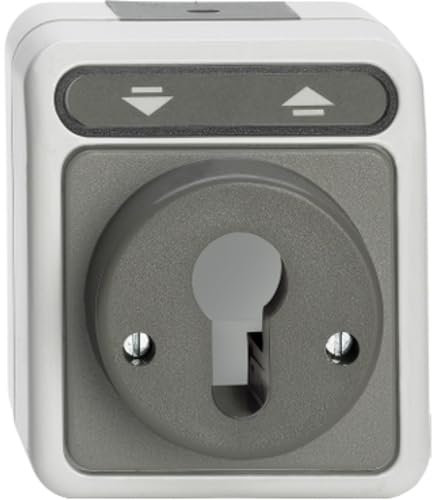 Schneider Electric Merten MEG3717-8029 Aufputz Rollladen-Tast-Rastschalter für Schließzylinder 1-Fach, Feuchtraum Schalterpogramm, IP44,lichtgrau, AQUASTAR