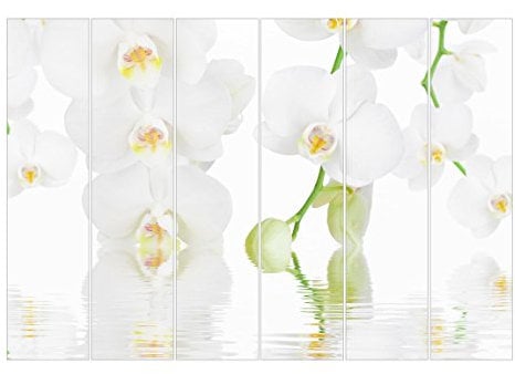 Bilderwelten Schiebegardinen Wellness_Orchidee - 6 Flächenvorhänge Wandhalterung 6X 250x60cm