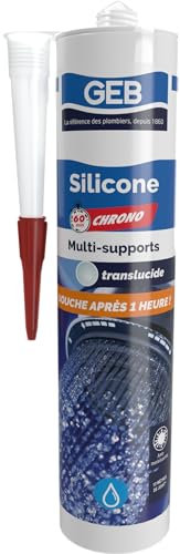 GEB Mastic Silicone 60 Chrono Multi-Supports. Sèchage Rapide, Remise en Eau après 1 Heure - Translucide 280 ML