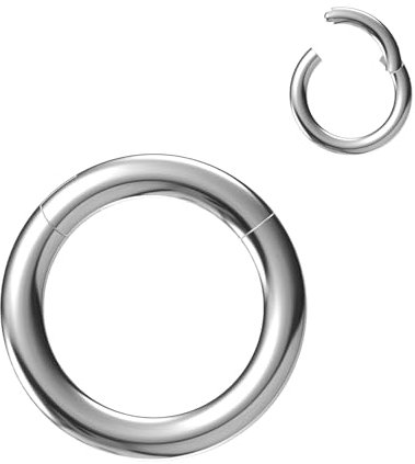 NewkeepsR Stahl 3,0mm×8mm 316L Chirurgenstahl mit Klappbarem Klicksegment Orbital Conch Rings
