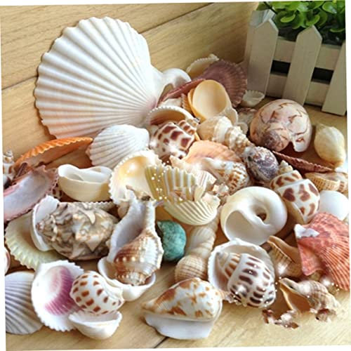 PRETYZOOM Natürliche Muscheln Gemischte Meeresmuscheln 500 G Dekorative Muschelornamente Für Die Kerzenherstellung Im Aquarium
