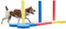 Rosewood 02495 Agility-Slalomstangen für kleine Hunde