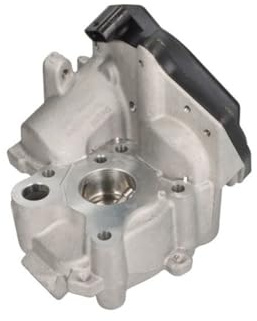Delphi Technologies EG10538-12B1 AGR-Ventil