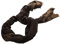 GUESS Loralee Scarf 80X190 Brown/Ochre