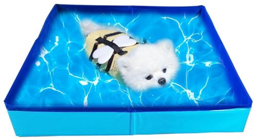 Piscine pour chien et chat - Pliable - Rectangulaire - Jouet d'eau pour grands chiens et chats - Carré - 50 x 10 cm
