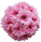 UICerland 15 Stück Künstliche Blumen Seiden Gänseblümchen Blumen gefälschte Gerbera Blumen für Blumensträuße für Hochzeit Partei Tischaufsätze Blumenarrangement Heim Küche Dekor DIY (Rosa)