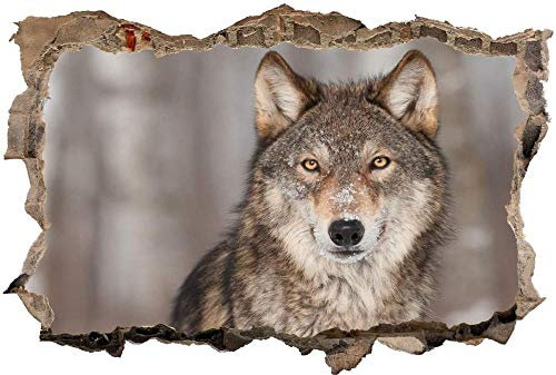 3D Wandtattoo Mauerloch Wandsticker Wandaufkleber Durchbruch Wolf Tier Schnee Winter selbstklebend Schlafzimmer Wohnzimmer 70x110cm